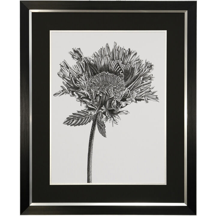 Grow Framed Print