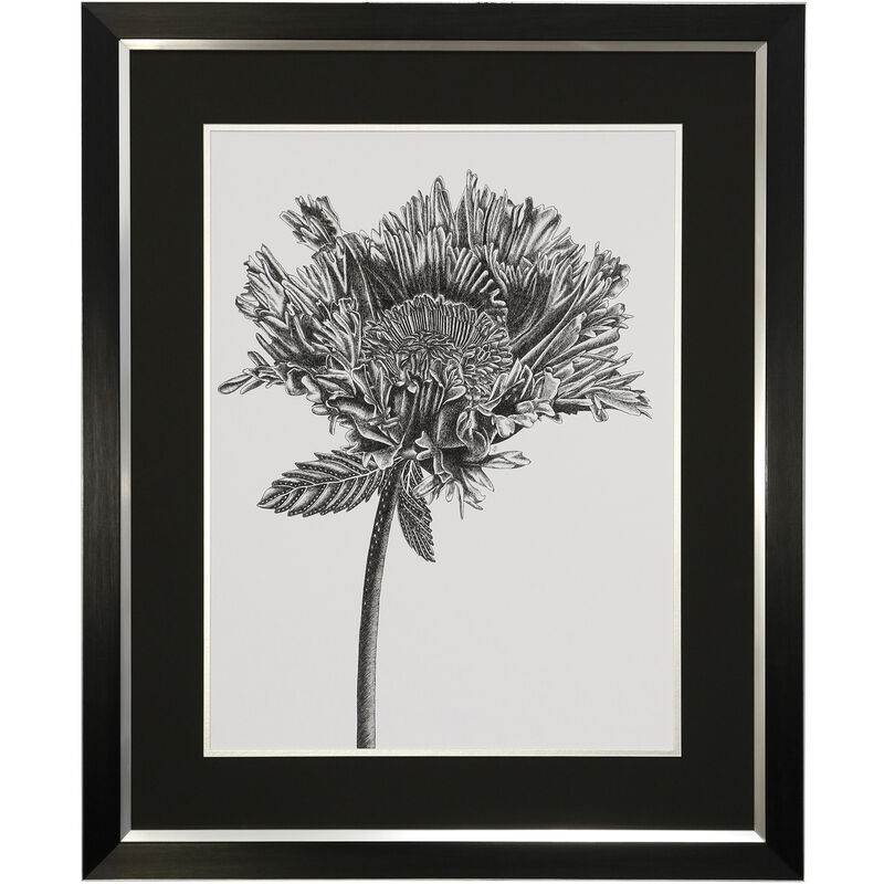 Grow Framed Print