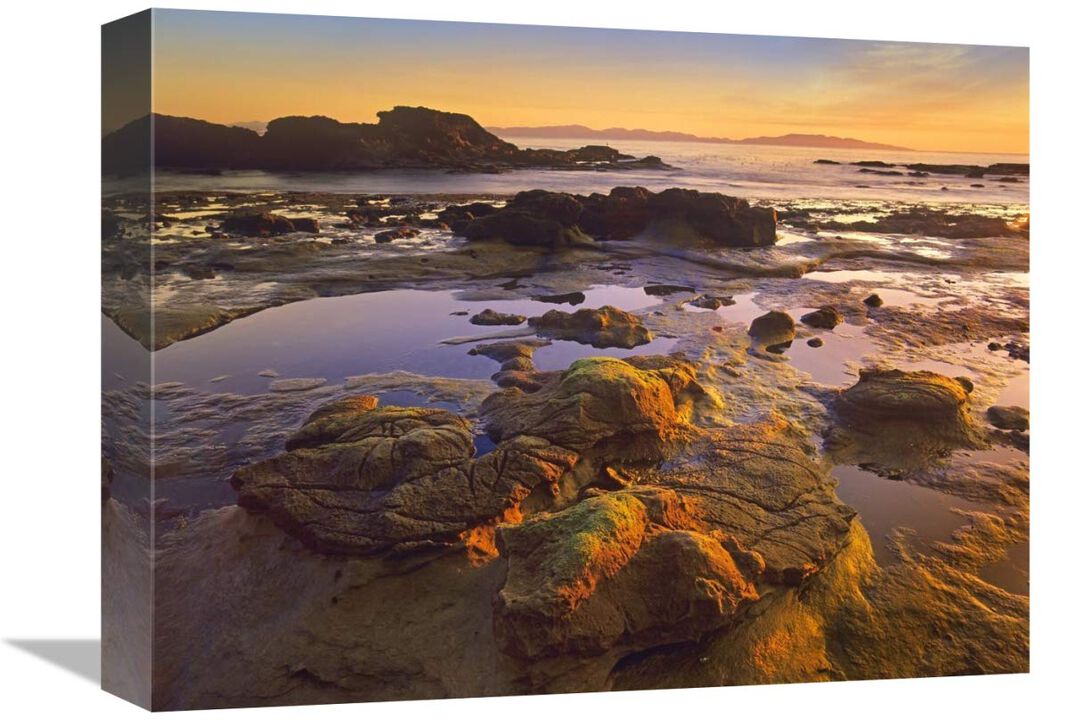 Tidepools exposed at low tide, Botanical Beach, Juan de Fuca Provincial Park, Vancouver Island, British Columbia, Canada-Canvas Art-16x12