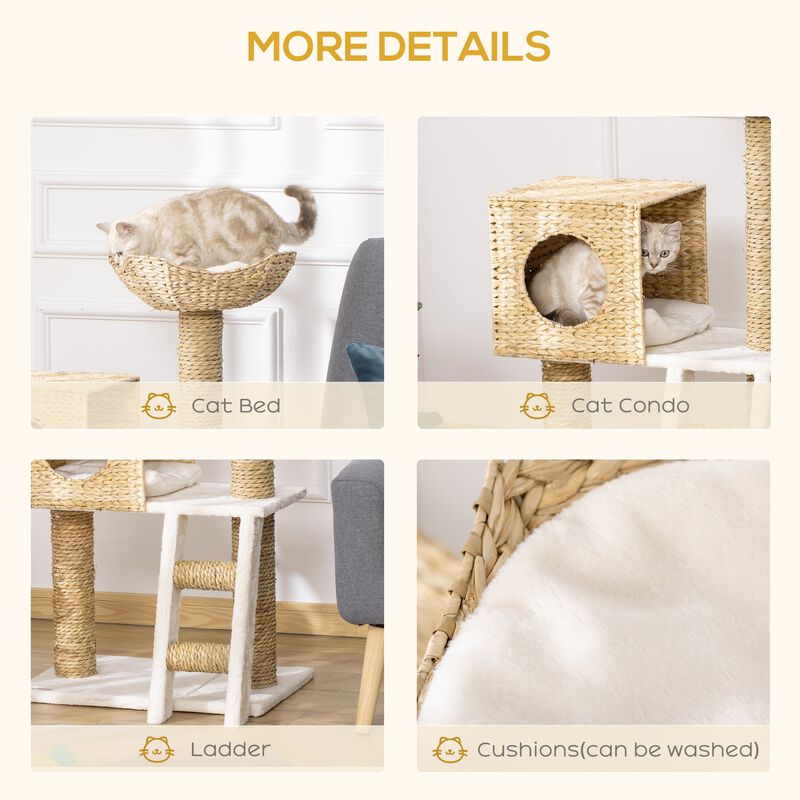 Natural Cat Playground: Modern Tree with Condo & Scratching Posts