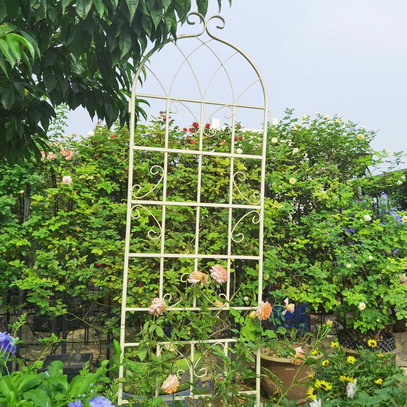 2-Pack Outdoor Metal Garden Trellis, Tall Rustproof Plant Support