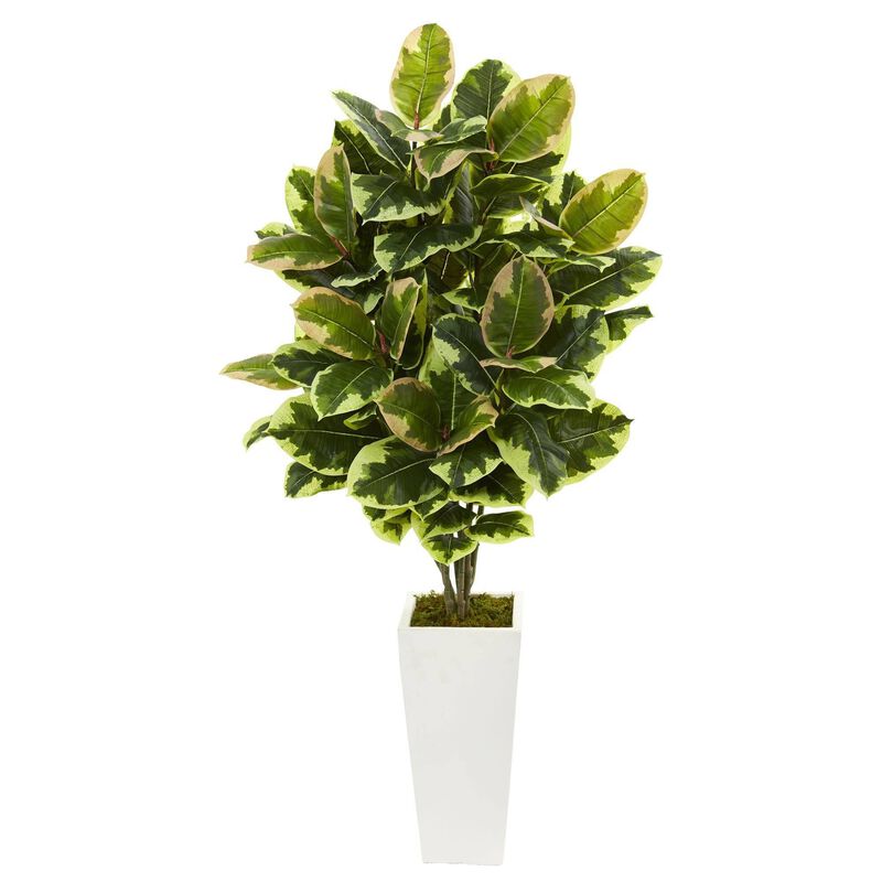 Nearly Natural 4-ft Variegated Rubber Leaf Plant in White Tower Vase