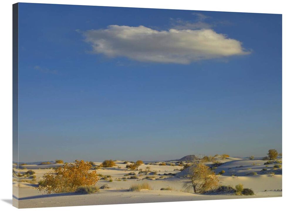 Cloud over White Sands National Monument, Chihuahuan Desert, New Mexico-Canvas Art-40x30