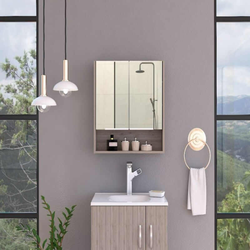 Medicine Cabinet With Mirror Lexington, Bathroom, Light Gray