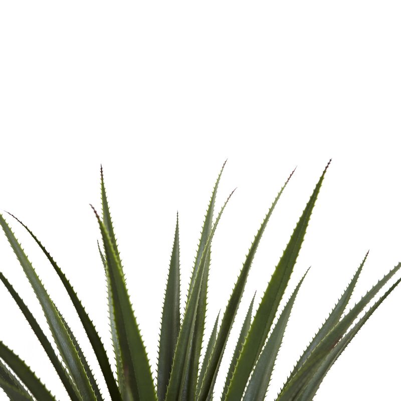 Hivvago 4" Spiked Agave Plant