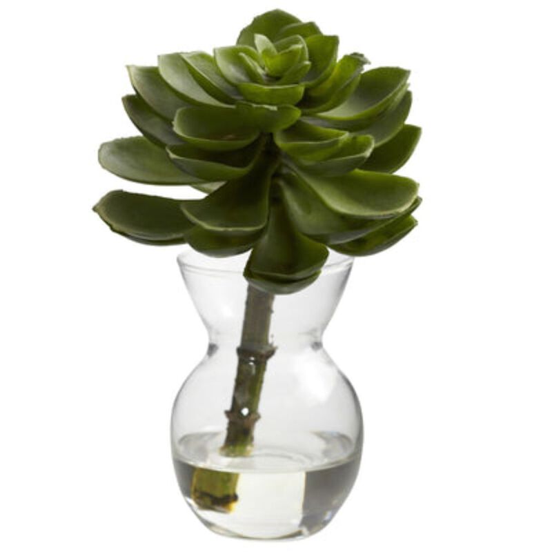 Hivvago Succulent Arrangements (Set of 3)
