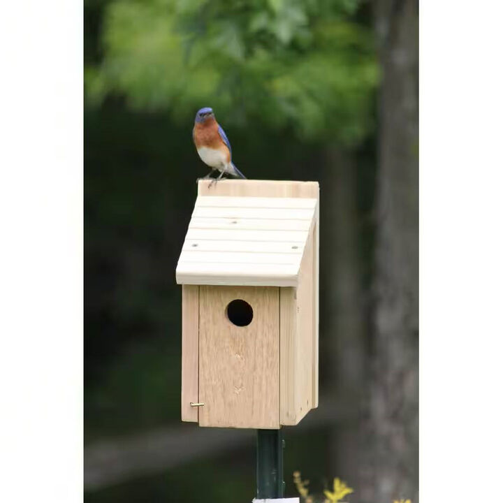 Cedar Wood Birdhouse – Perfect for Eastern, Western & Mountain Bluebirds