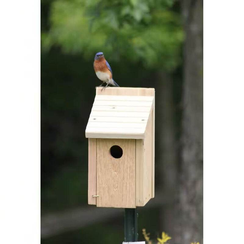 Cedar Wood Birdhouse – Perfect for Eastern, Western & Mountain Bluebirds