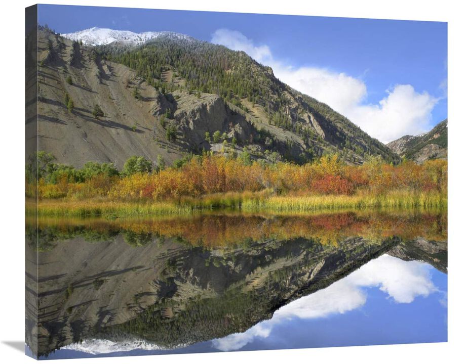 Boulder Mountains reflected in beaver pond, Idaho-Canvas Art-30x24.9