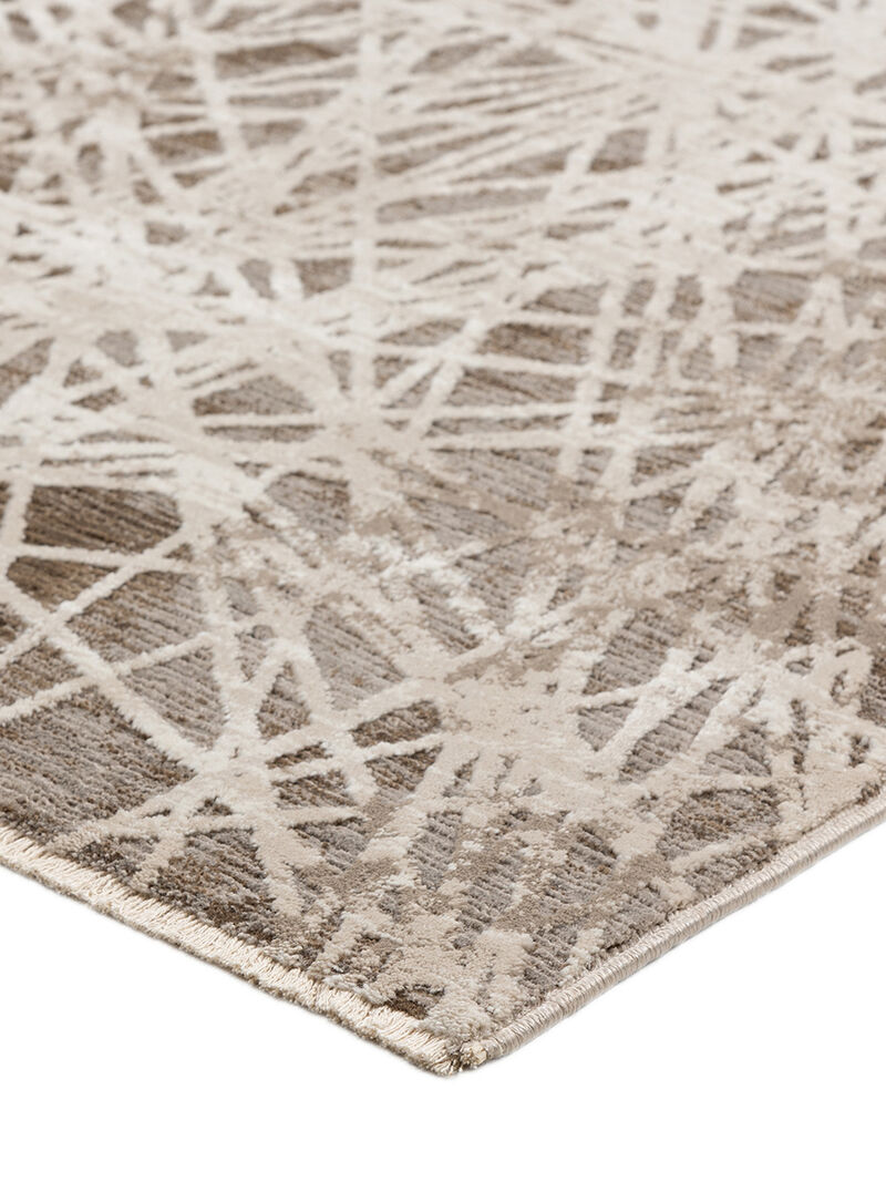 Denizi DZ4 Taupe 3'3" x 5'3" Rug