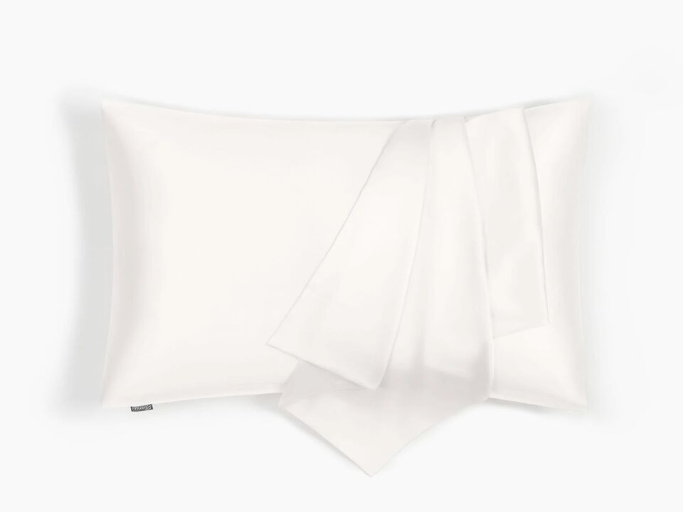 LilySilk 100% 19 Momme Pure Silk Pillowcase