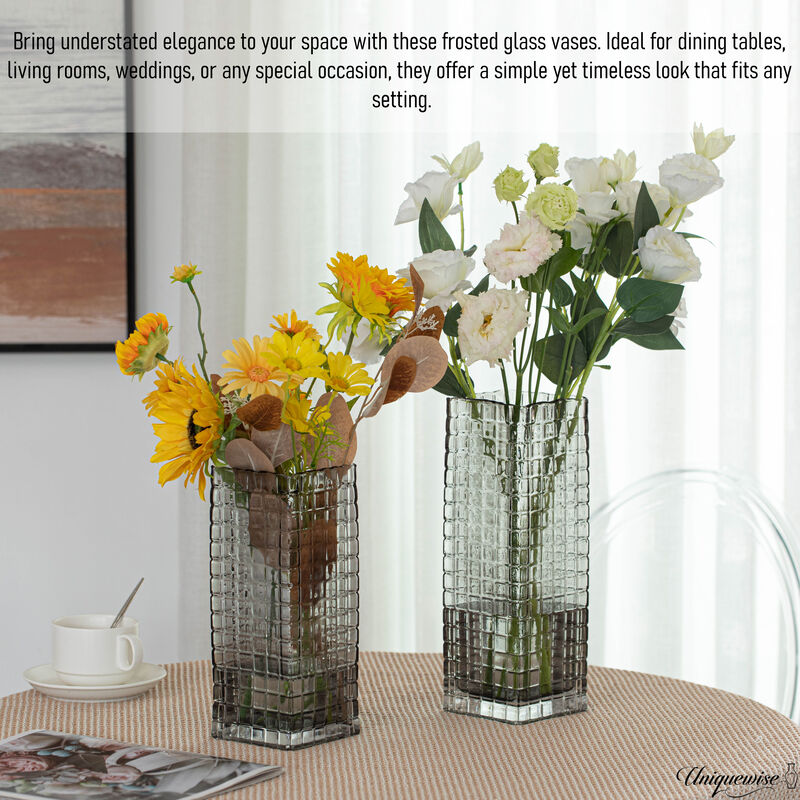 Set of 2 Square Frosted Clear Glass Vase