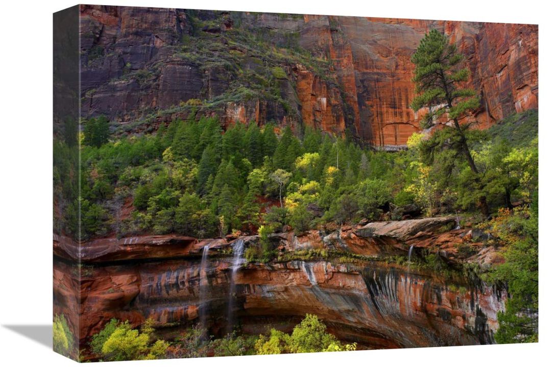 Cascades and desert varnish at Emerald Pools, Zion National Park, Utah-Canvas Art-16x12