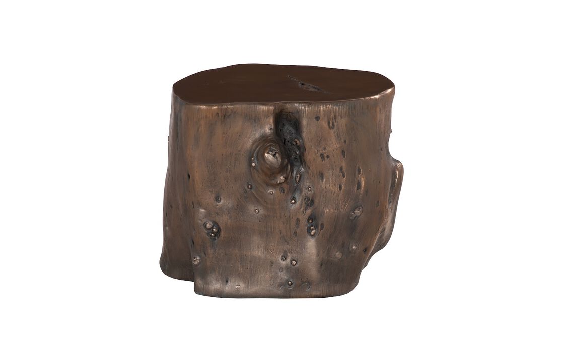 Log Large Stool