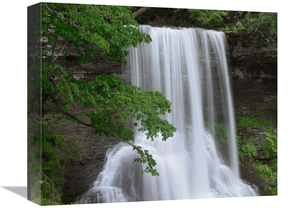 Cascading waterfall in Jefferson National Forest, Virginia-Canvas Art-16x13.28