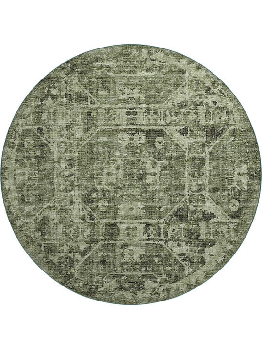 Aberdeen AB2 Cactus 8' Rug