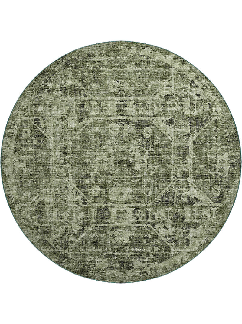 Aberdeen AB2 Cactus 8' Rug