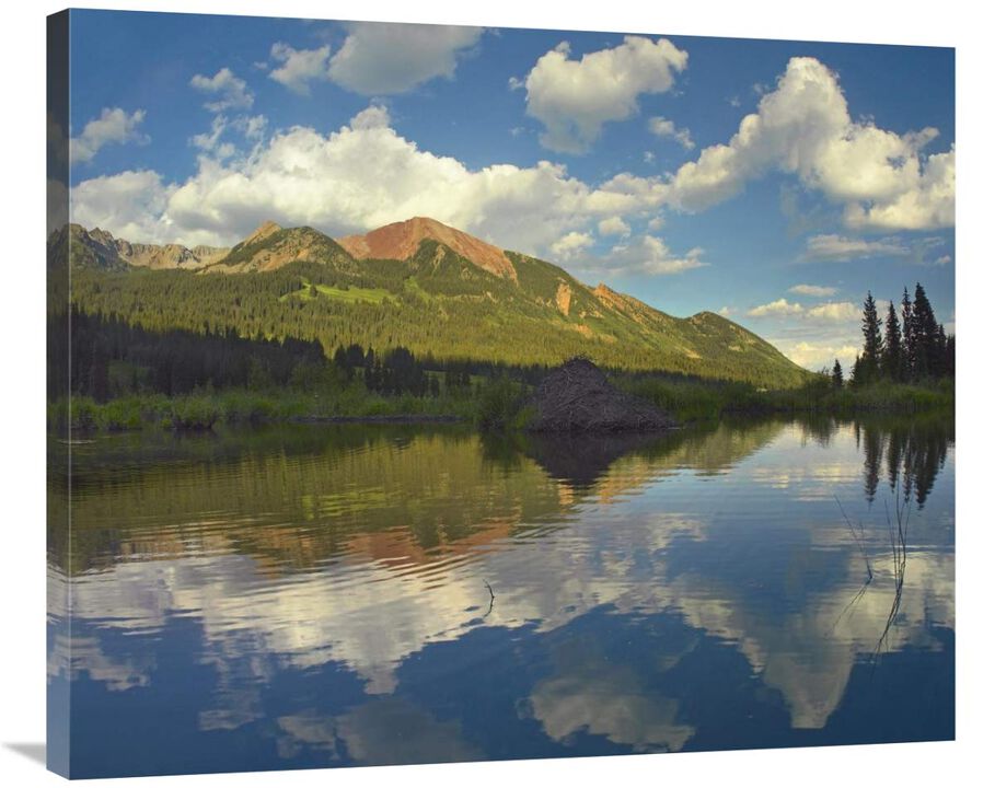 Avery Peak reflected in beaver pond, San Juan Mountains, Colorado-Canvas Art-36x29.88