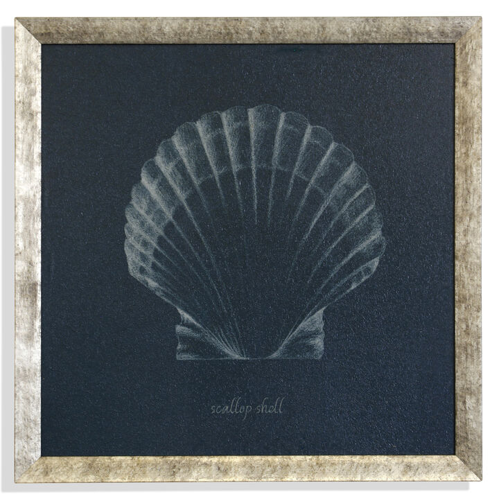 Shell Study