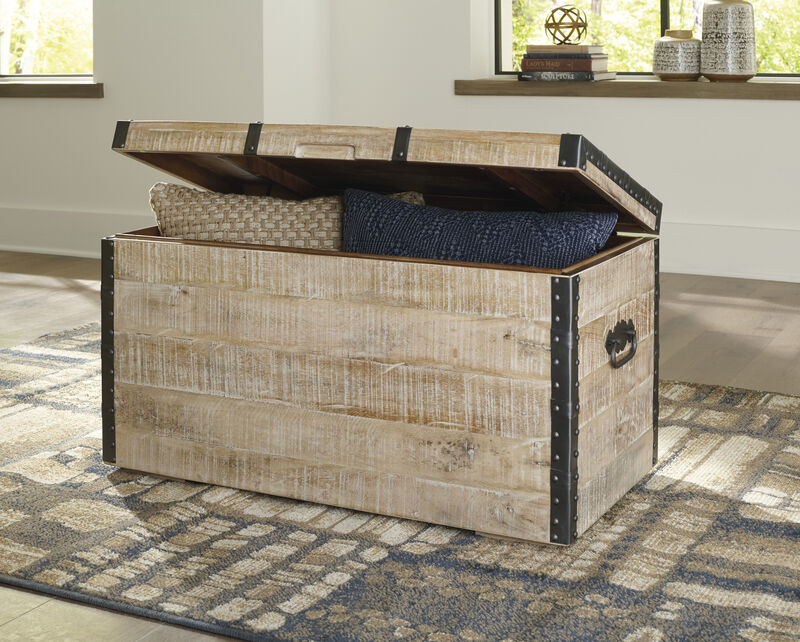 Dartland Whitewash Storage Trunk