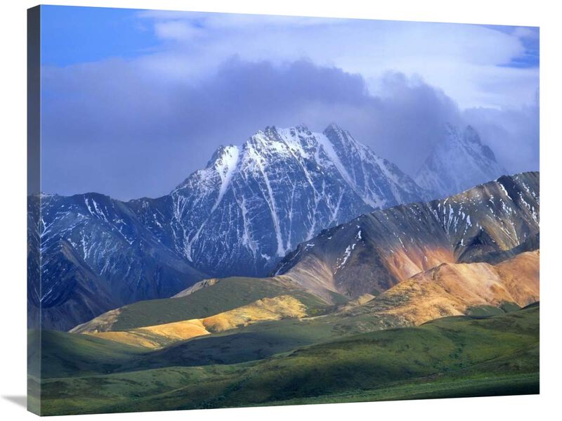 Alaska Range and foothills, Denali National Park, Alaska-Canvas Art-35x28