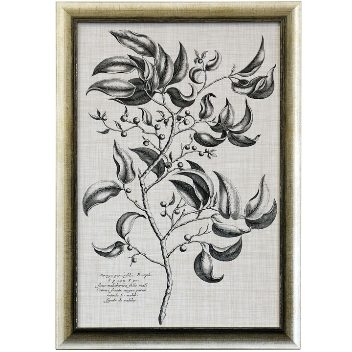 BLACK & OATMEAL BOTANICAL III