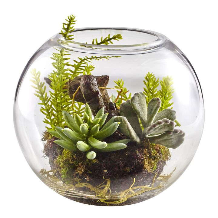 Hivvago Mix Succulent Garden with Glass Vase