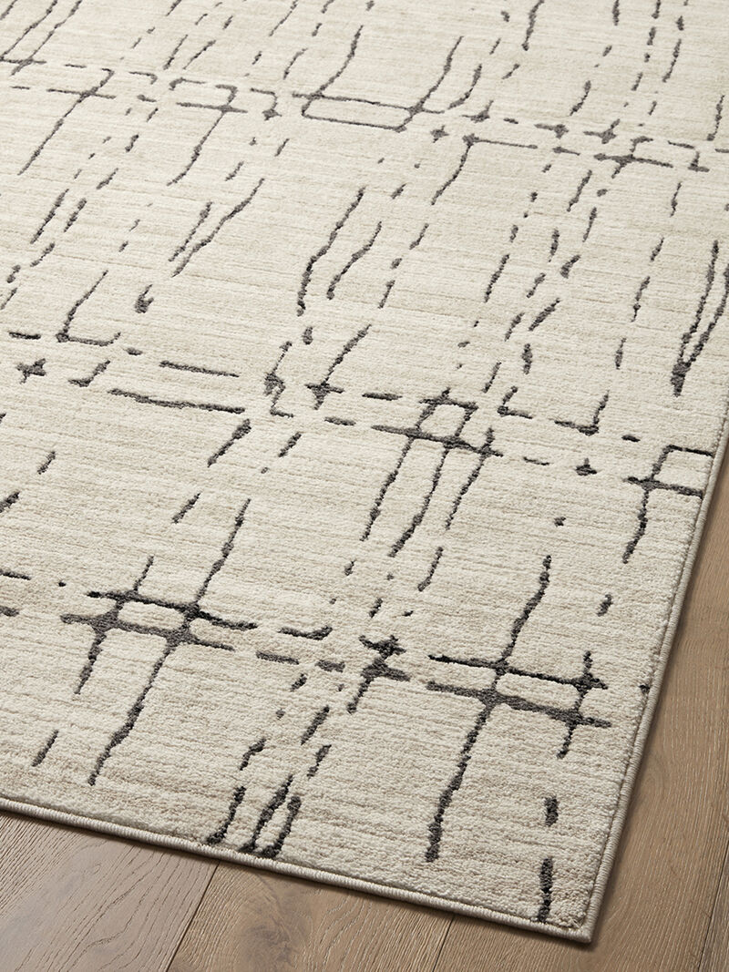 Darby DAR06 Collection by Loloi II