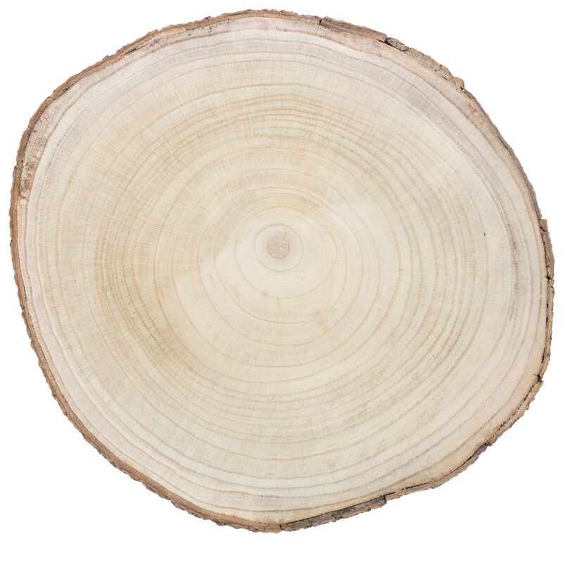 Barky Natural Wood Slabs Rustic Ornament Slice Tray Table Charger 16" set of 4