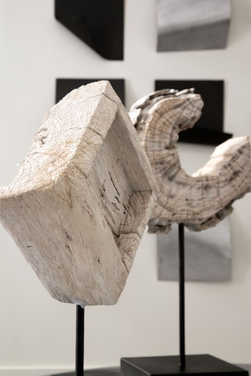 Wood C Sculpture on Stand