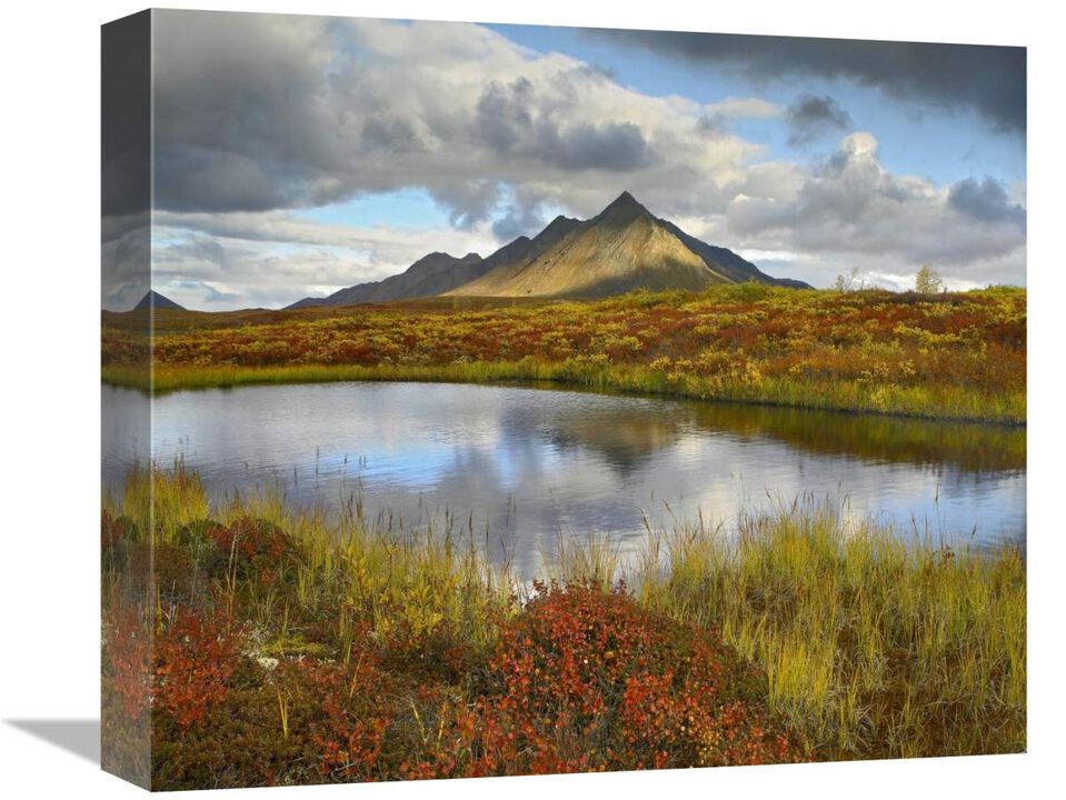 Pond and Ogilvie Mountains, Tombstone Territorial Park, Yukon, Canada-Canvas Art-16x13.76