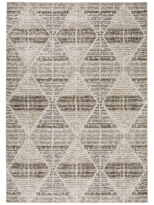 Carmona CO8 Driftwood 3'1" x 5' Rug