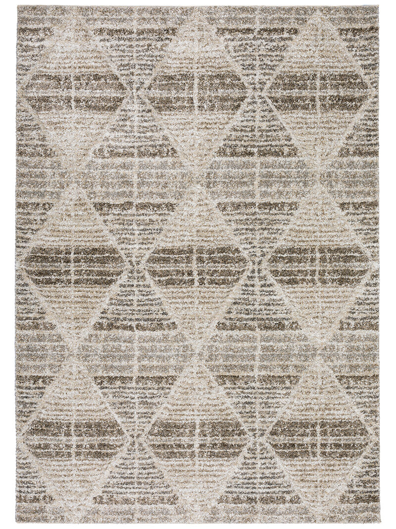 Carmona CO8 Driftwood 3'1" x 5' Rug