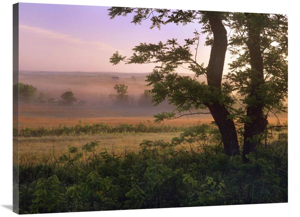 Tallgrass Prairie National Preserve, Kansas-Canvas Art-40x30