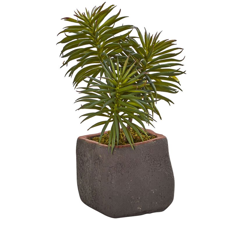 Hivvago Mixed Succulent Trio Artificial Plant (Set of 3)