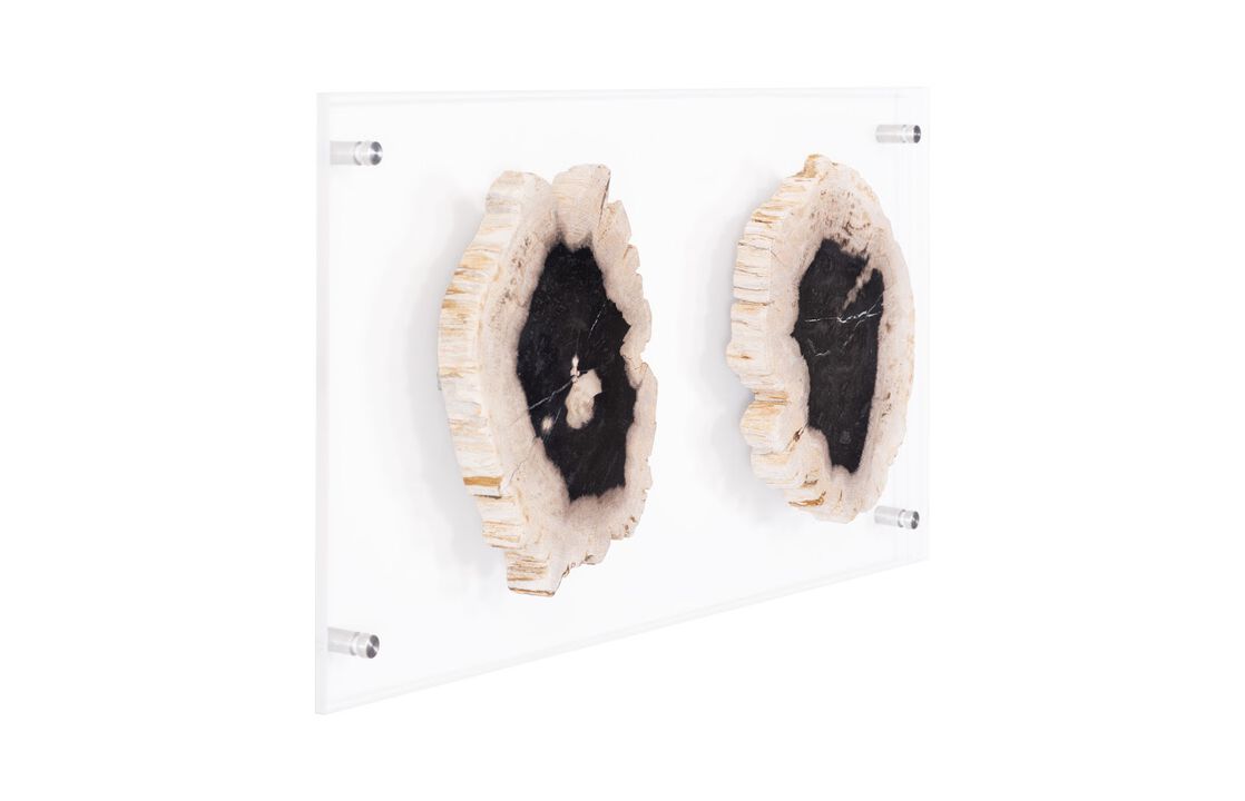 Floating Petrified Double Slice Wall Art