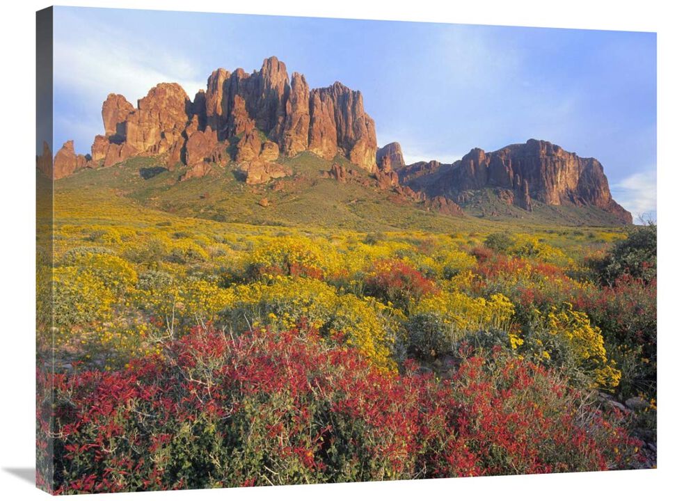 Chuparosa and Brittlebush Superstition Mountains, Arizona-Canvas Art-32x24