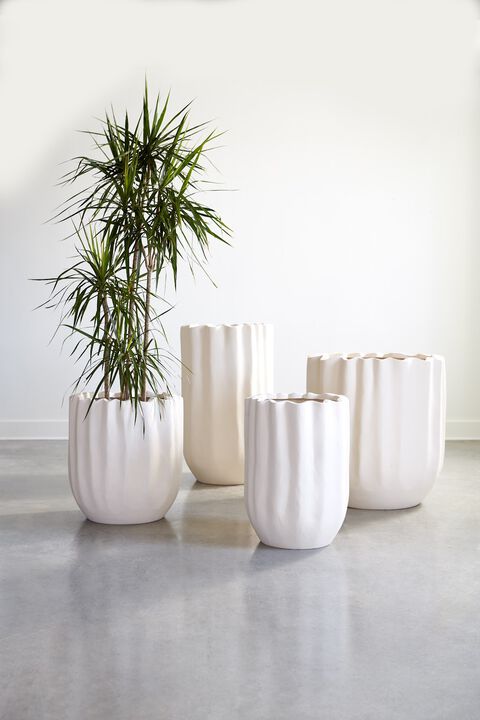 Tulip Flower Planter Slim Tall