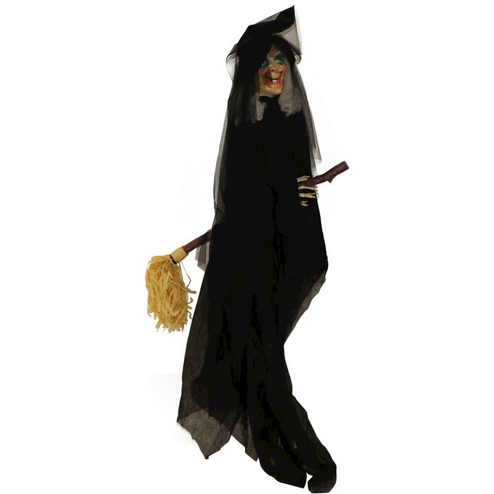 Haunted Hill Farm Sonic Witch