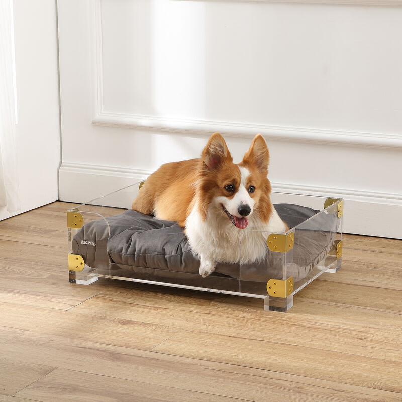 Haines Small/Medium Modern Lucite Velvet Pet Bed with Washable Cushion