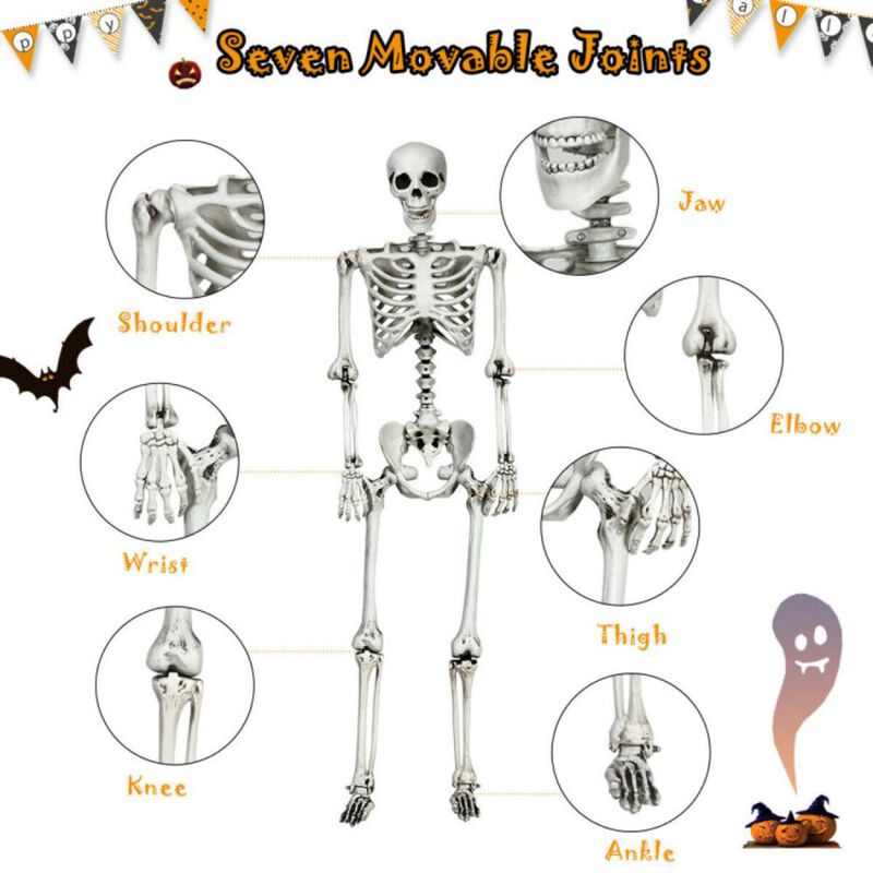 Hivvago 5.4 Feet Halloween Skeleton Life Size Realistic Full Body Hanging