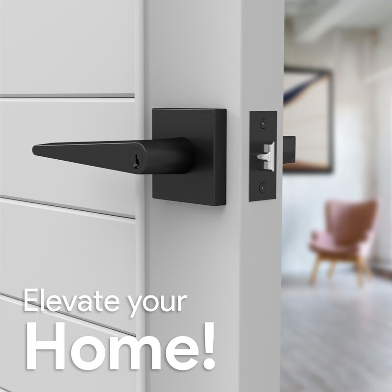 Mega Handles | Schein Entry Lever