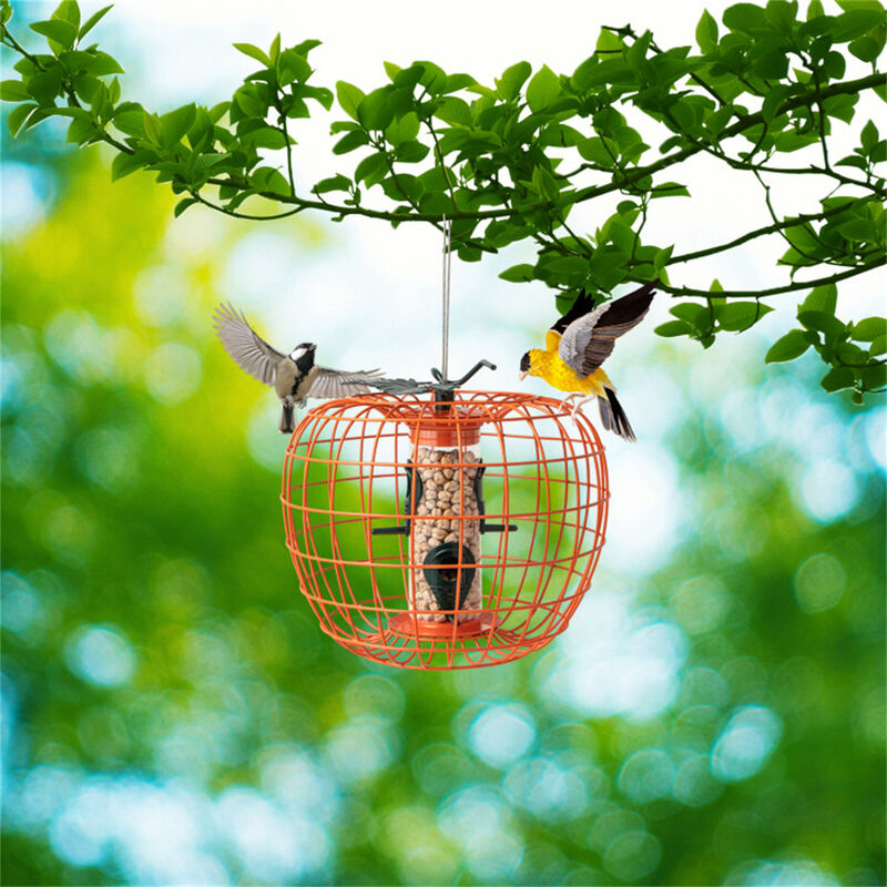 Squirrel-Proof Bird Feeder with Cage & 4 Feeding Ports for Wild Birds