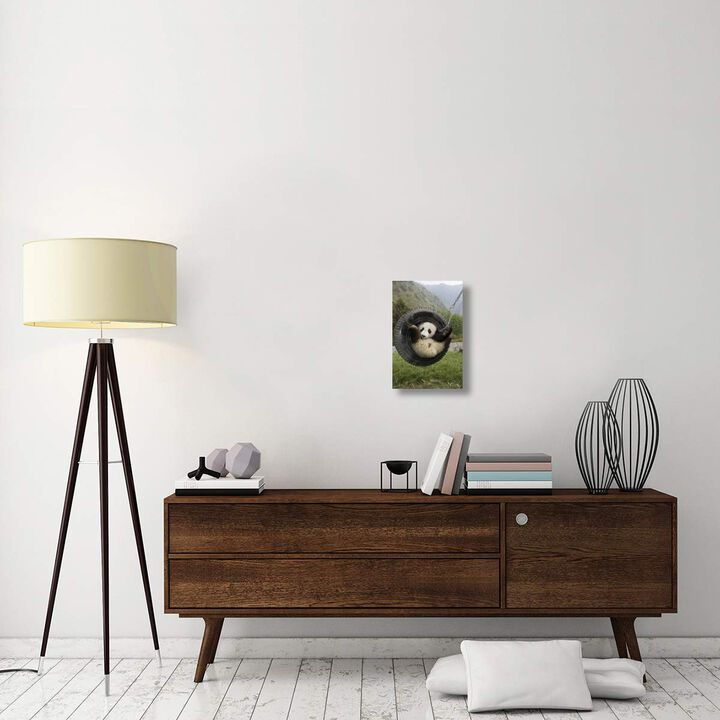 Giant Panda cub playing in tire swing, Wolong Nature Reserve, China-Canvas Art-12x18