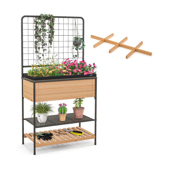 Hivvago Raised Garden Bed with Trellis 2-tier Storage Shelves