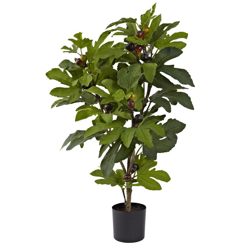Hivvago 32 Inches Fig Tree w/42 Lvs & 15 Figs