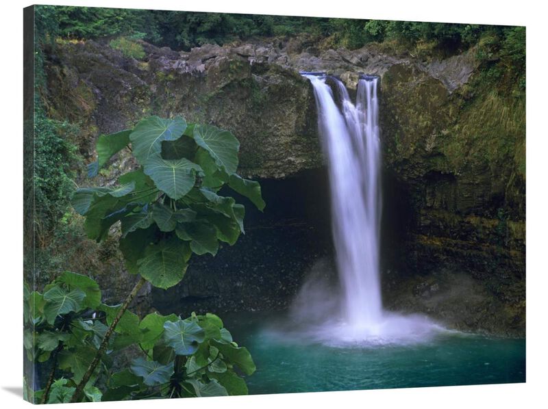 Rainbow Falls cascading into pool, Big Island, Hawaii-Canvas Art-40x30