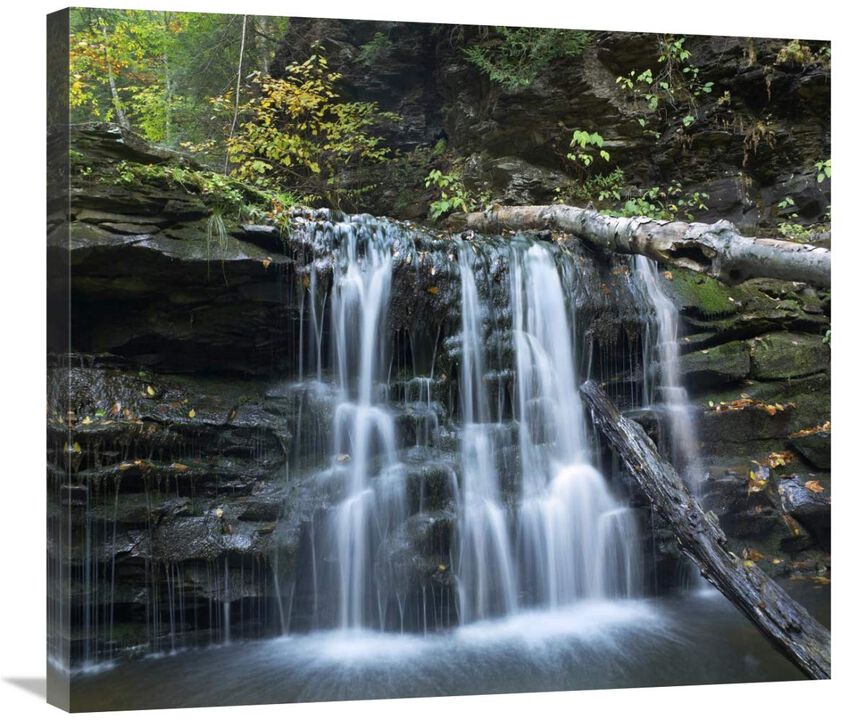 Seneca Falls, Ricketts Glen State Park, Pennsylvania-Canvas Art-30x26.7