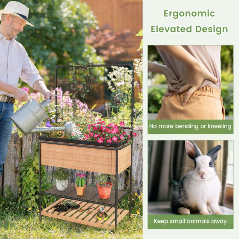 Hivvago Raised Garden Bed with Trellis 2-tier Storage Shelves