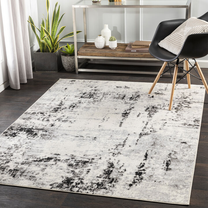 Pisa PSS-2303 4'11' x 7' Gray Rug